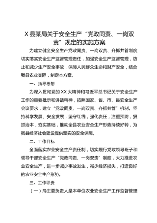 X县某局关于安全生产“党政同责、一岗双责”规定的实施方案