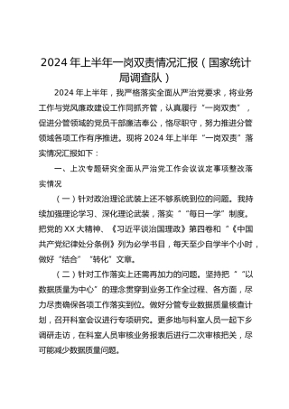 2024年上半年一岗双责情况汇报（国家 统计局调查队）