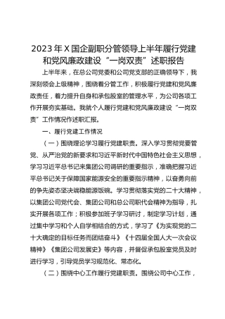 2023年X国企副职分管领导上半年履行党建和党风廉政建设“一岗双责”述职报告