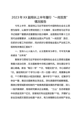 2023年XX副局长上半年履行“一岗双责”情况报告