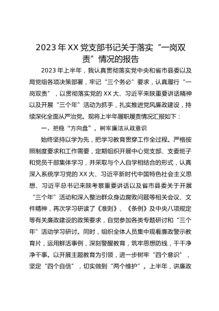 2023年XX党支部书记关于落实“一岗双责”情况的报告