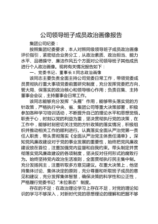 公司领导班子成员政治画像报告