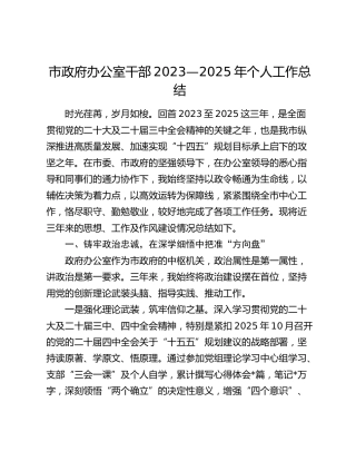 市政府办公室干部2023—2025年个人工作总结
