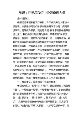 主题教育党课：在学思践悟中汲取奋进力量（乡镇街道）