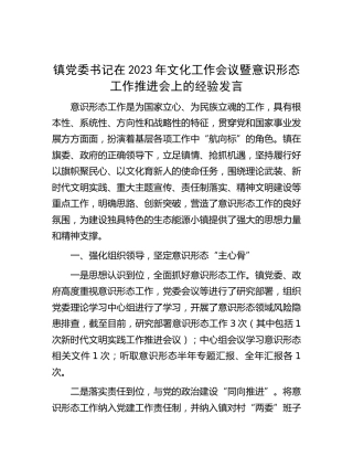 乡镇在2023年文化工作会议暨意识形态工作推进会上的经验发言