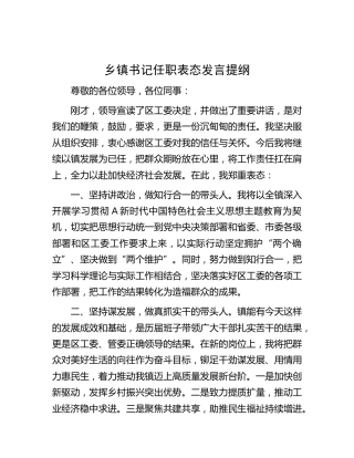 乡镇书记任职表态发言