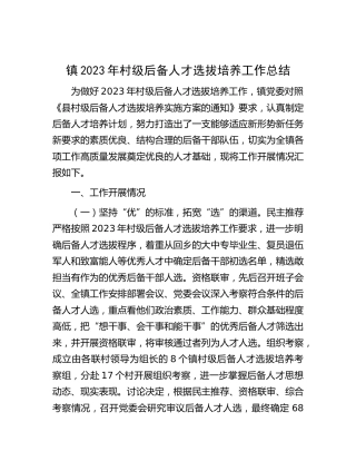 乡镇2023年村级后备人才选拔培养工作总结
