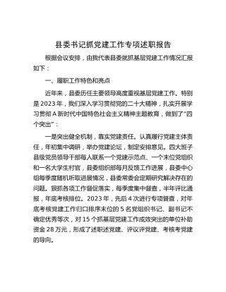 县委书记抓党建工作专项述职报告2600字