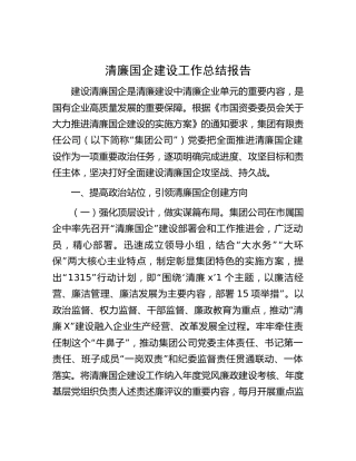 清廉国企建设工作总结报告6100字（公司）