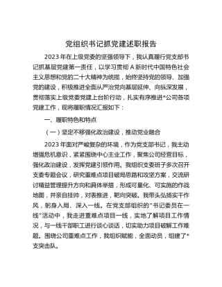 公司党支部书记抓党建述职报告4000字