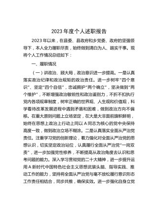 2023年度乡镇个人述职报告2800字