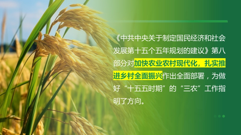 “十五五”规划建议三农工作部署解读模板PPT_第2页