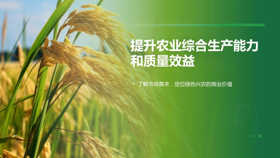 “十五五”规划建议三农工作部署解读模板PPT_第5页