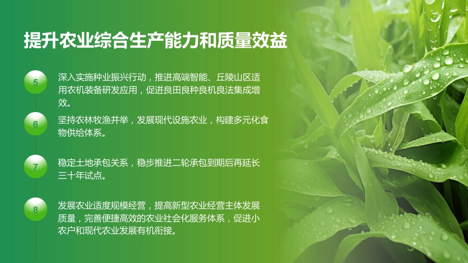 “十五五”规划建议三农工作部署解读模板PPT_第7页