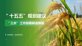“十五五”规划建议三农工作部署解读模板PPT
