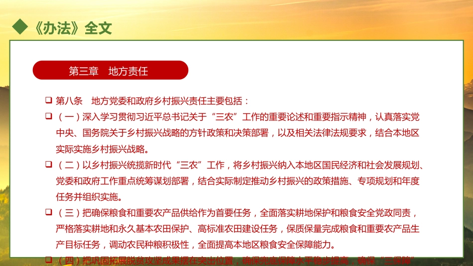 乡村振兴责任制实施办法PPT(20221230)_第10页