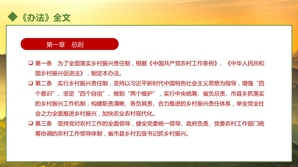 乡村振兴责任制实施办法PPT(20221230)_第5页