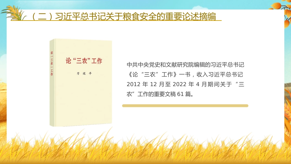粮食安全党课讲稿:谈谈我国的新粮食安全(ppt)_第8页