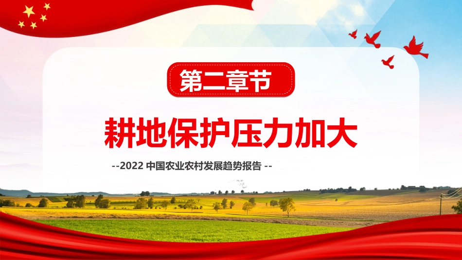 保障农业农村优先发展PPT(20220317)_第9页