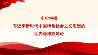 【党内主题教育主题模板】牢牢把握习近平新时代中国特色社会主义思想的世界观和方法论（PPT）