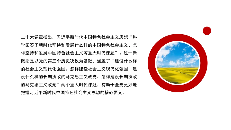 深刻认识把握党章的重要性(党纪学习教育)(PPT)_第10页