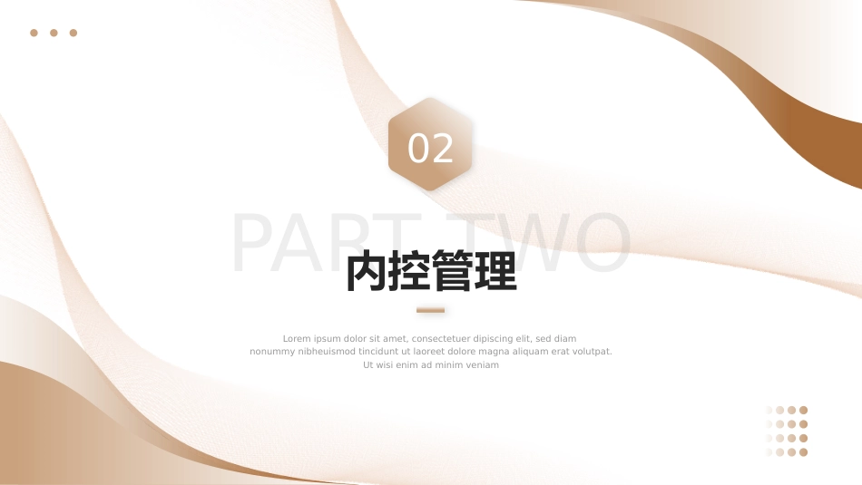 财务年终总结工作总结工作汇报述职报告PPT模板_第10页