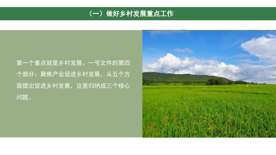 2022年一号文件精神解读模板“两条底线”与“三个重点”(PPT)_第9页