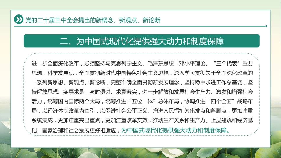 二十届三中全会提出的新概念新观点新论断PPT专题党课_第4页