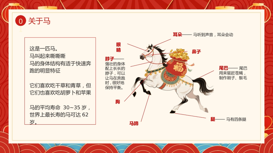喜庆插画风了解不一样的马年PPT模板_第4页