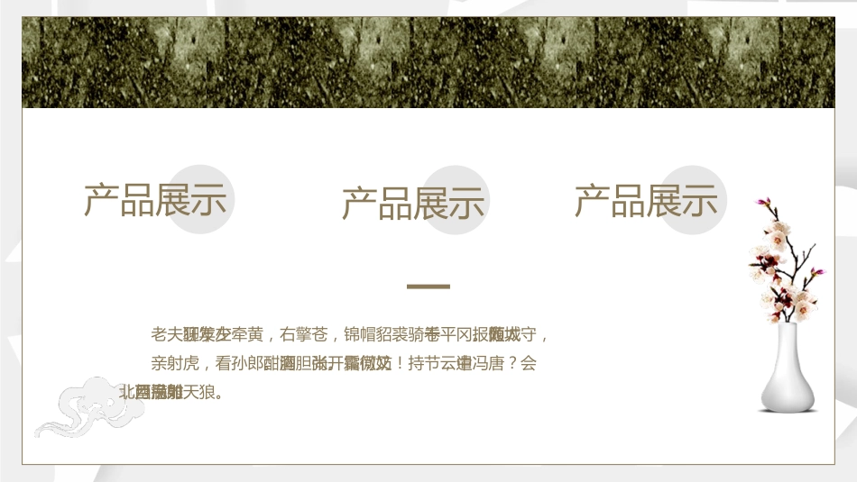 商务风项目计划书产品发布会产品介绍年终总结汇报营销策划通用PPT模板_第9页