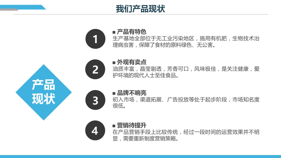商务风年营销计划总结PPT模板_第7页