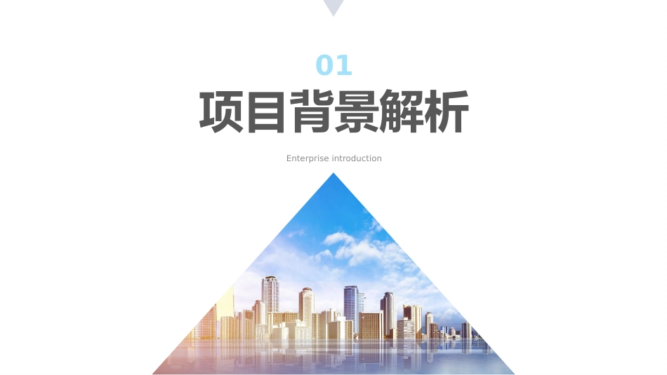 企业项目汇报总结ppt_第3页