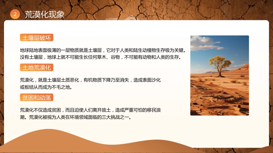 6月17日世界防治荒漠化与干旱日PPT精美课件_第10页