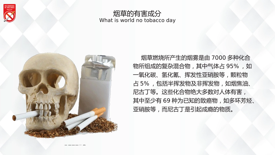 世界无烟日科普宣传PPT简约精美吸烟有害健康世界无烟日课件_第10页