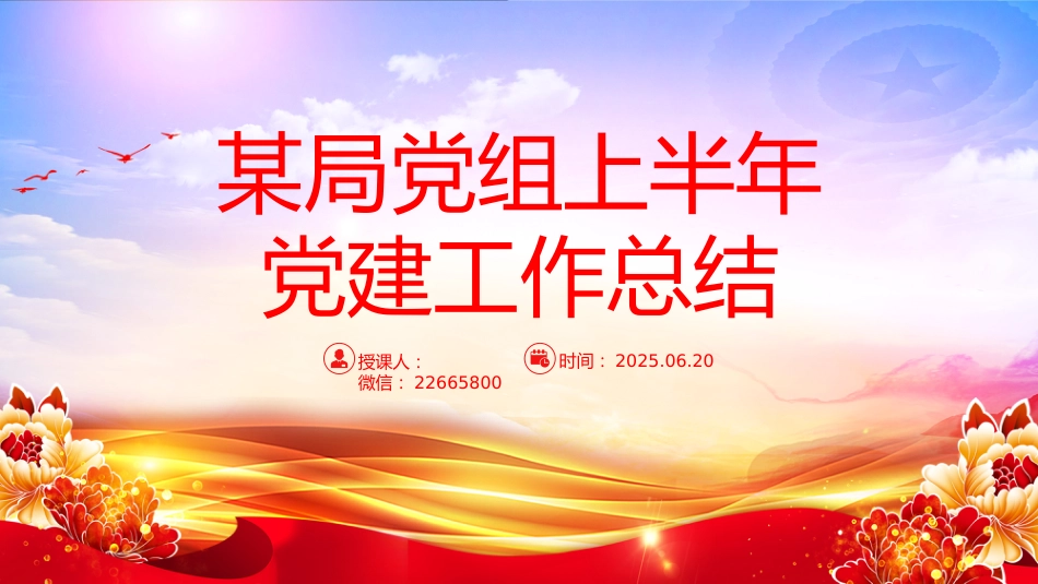 讲稿+PPT课件：某局党组上半年党建工作总结PPT模板_第1页