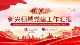 讲稿+PPT课件：新兴领域党建工作汇报