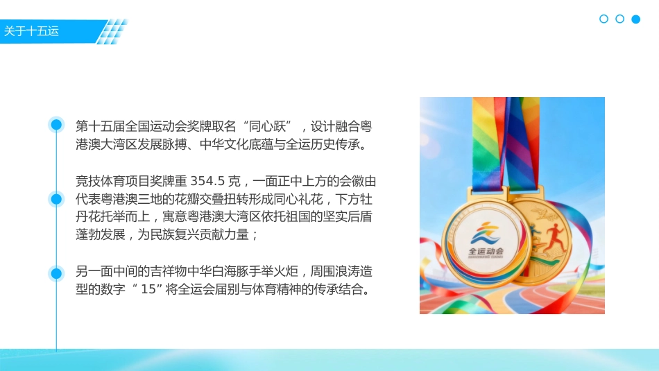 2025年第十五届全国运动会PPT十五运模板_第9页
