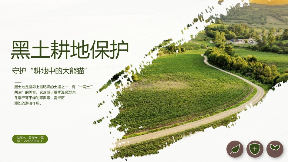 讲稿+PPT课件：黑土耕地保护守护“耕地中的大熊猫”_第1页