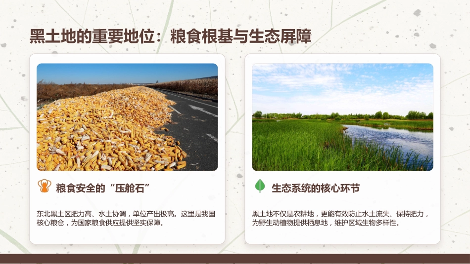 讲稿+PPT课件：黑土耕地保护守护“耕地中的大熊猫”_第5页