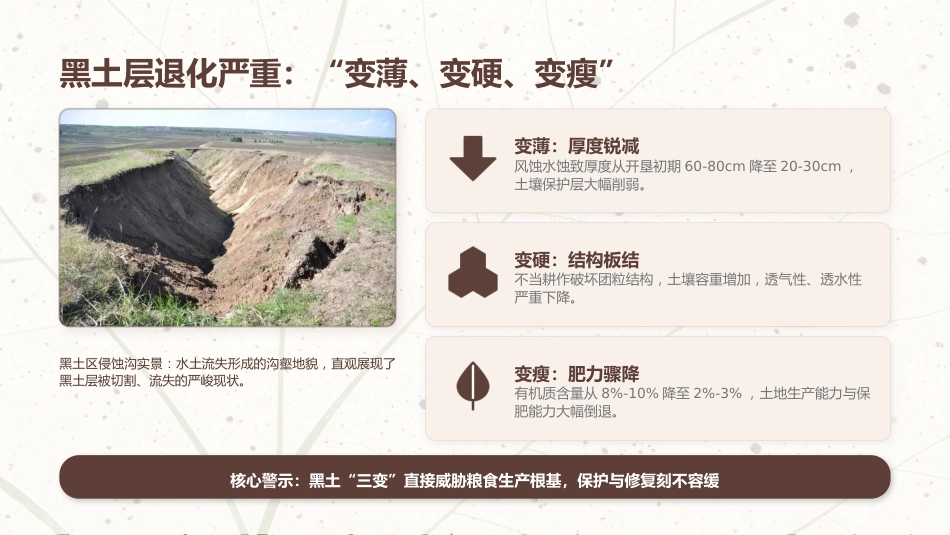 讲稿+PPT课件：黑土耕地保护守护“耕地中的大熊猫”_第7页