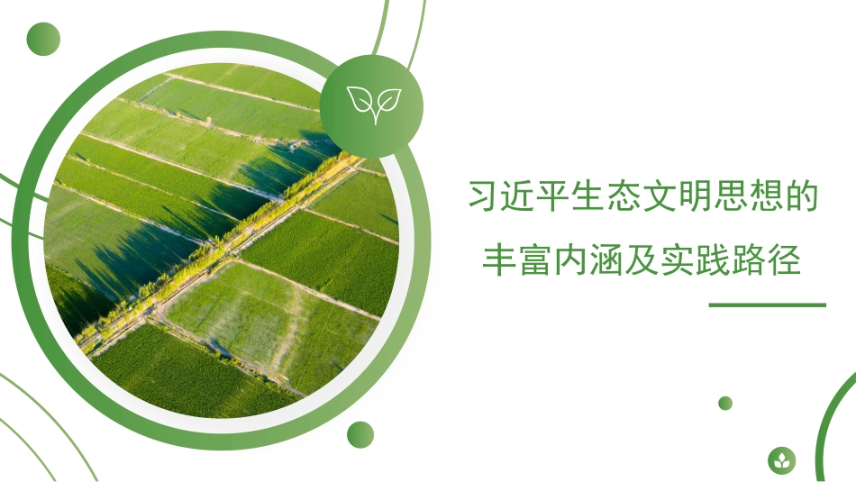 党课讲稿+PPT系列第47期:习近平生态文明思想的丰富内涵及实践路径_第1页