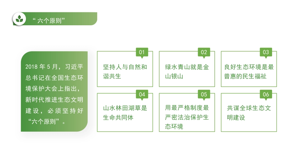 党课讲稿+PPT系列第47期:习近平生态文明思想的丰富内涵及实践路径_第5页