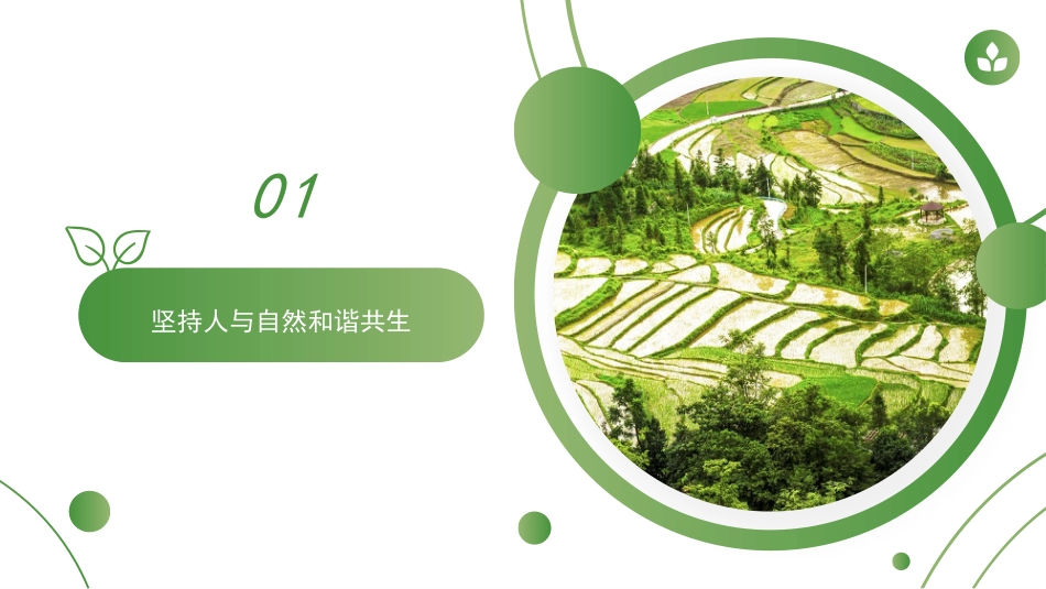 党课讲稿+PPT系列第47期:习近平生态文明思想的丰富内涵及实践路径_第8页