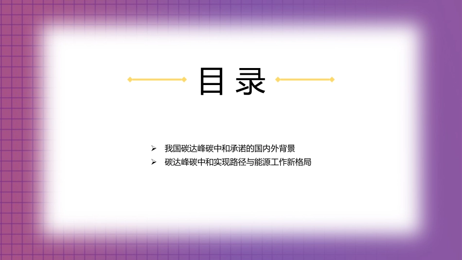 党课讲稿+PPT系列第70期：我国碳达峰碳中和实现路径及“十四五”能源发展_第3页