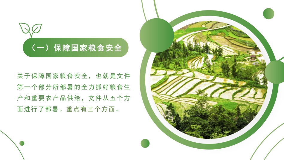 党课讲稿+PPT系列第77期：2022年中央一号文件精神解读：“两条底线”与“三个重点”_第3页