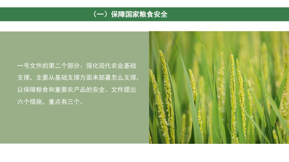 党课讲稿+PPT系列第77期：2022年中央一号文件精神解读：“两条底线”与“三个重点”_第5页