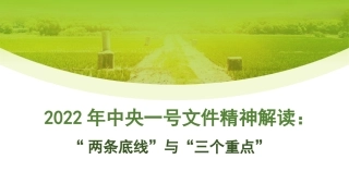 党课讲稿+PPT系列第77期：2022年中央一号文件精神解读：“两条底线”与“三个重点”