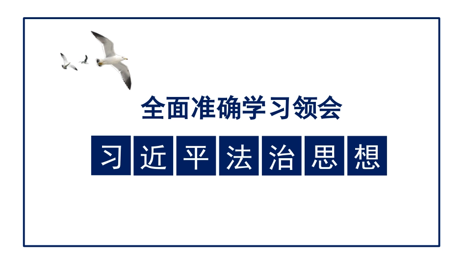 党课讲稿+PPT系列第84期：全面准确学习领会习近平法治思想_第1页