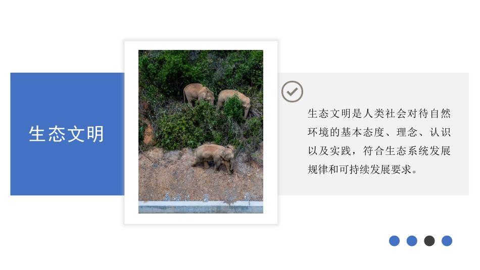 党课讲稿+PPT系列第93期：深入学习贯彻习近平生态文明思想 促进建设万物和谐的美丽家园_第6页