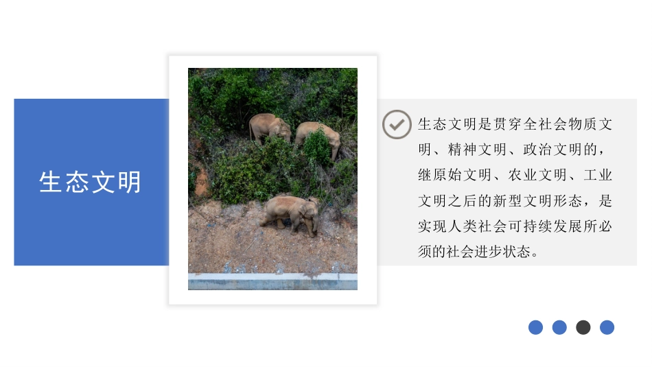 党课讲稿+PPT系列第93期：深入学习贯彻习近平生态文明思想 促进建设万物和谐的美丽家园_第7页